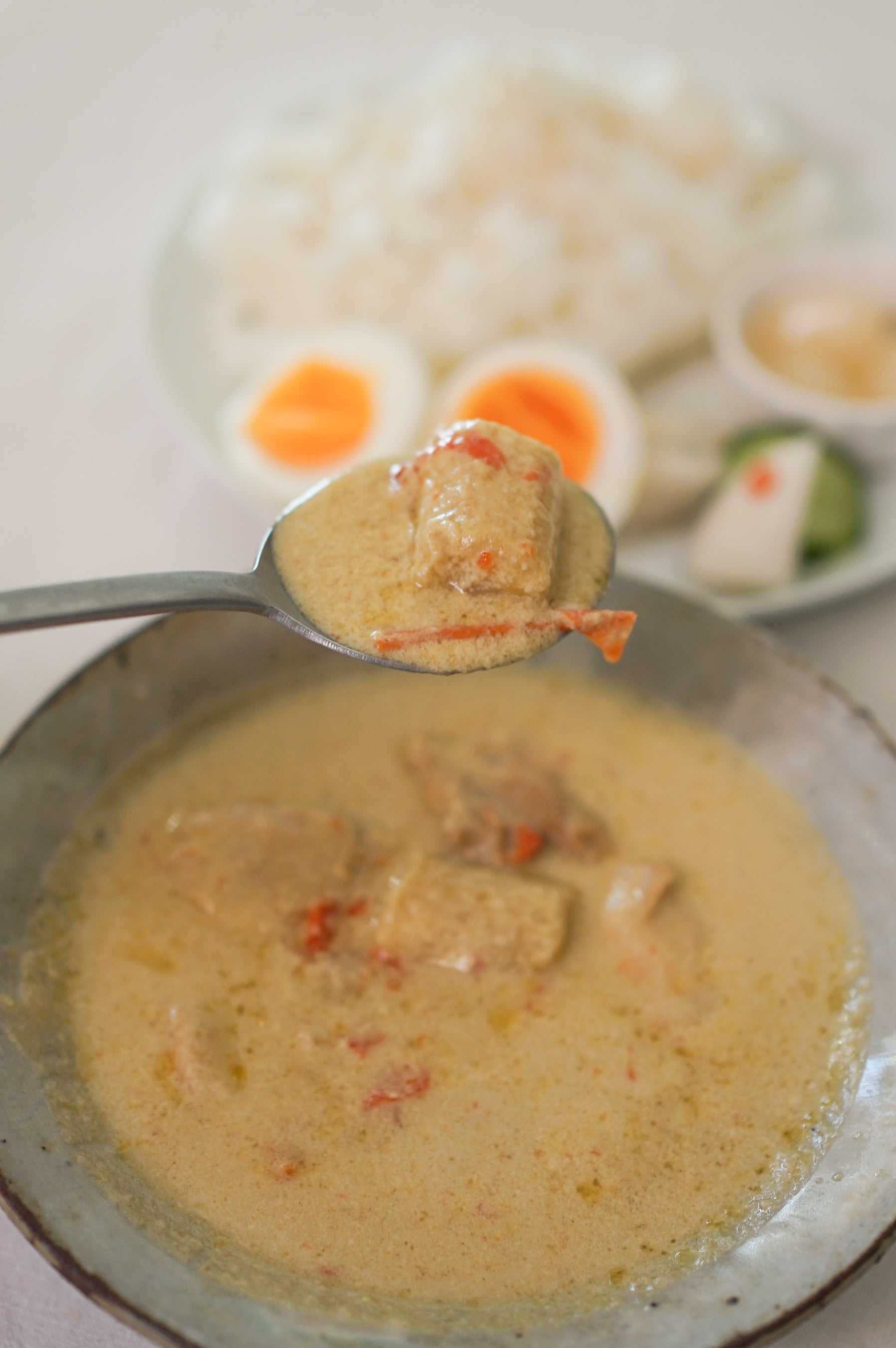Seijo Ishii Desica Coconut-Flavored Green Curry